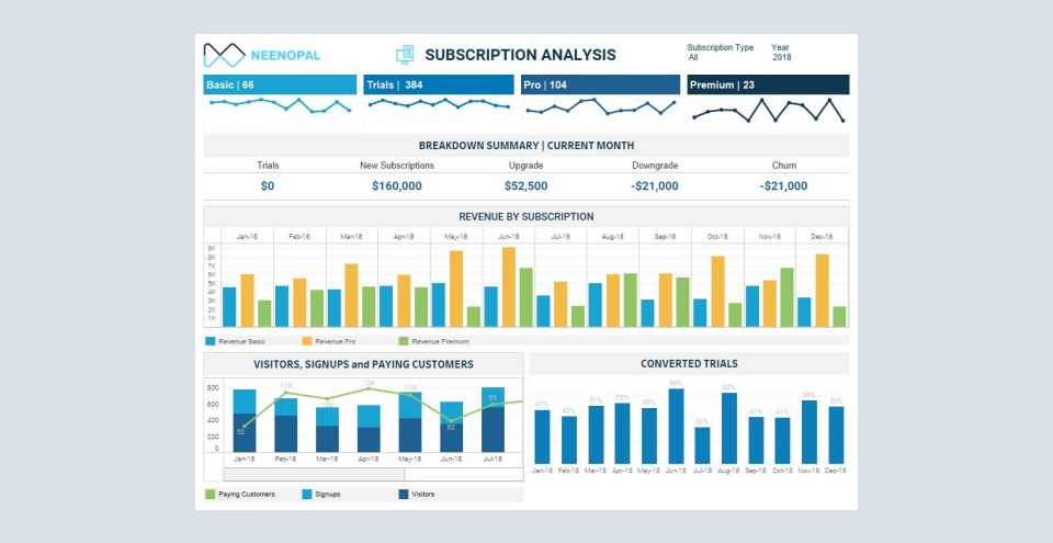 SaaS Subscription Analysis